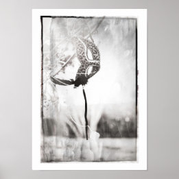 poster voor bladspafdruk