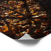 Poster voor bosfilter (Hoek)