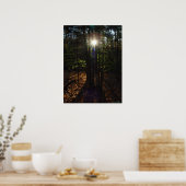 Poster voor bosfilter (Keuken)