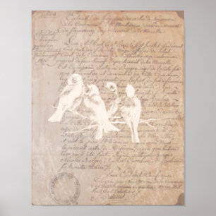  Poster voor brieven en vogels