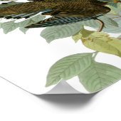 Poster voor buikroei (Hoek)