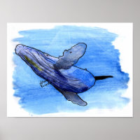 poster voor bultrugwalvis