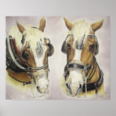 Poster voor conceptpaarden (Voorkant)