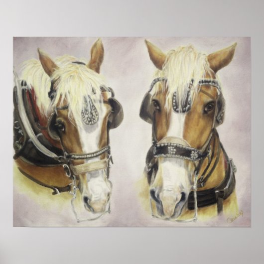 Poster voor conceptpaarden (Voorkant)