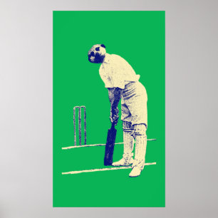 poster voor cricketeting, aanpasbaar