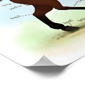 Poster voor de anatomie van paarden of Pony-ezels (Hoek)