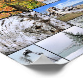 Poster voor de collage van bomen 28 x 20 (Hoek)