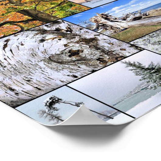 Poster voor de collage van bomen 28 x 20 (Hoek)