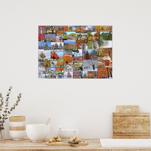 Poster voor de collage van bomen 28 x 20 (Keuken)