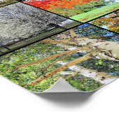 Poster voor de collage van bomen 36 x 24 (Hoek)