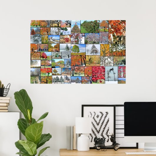 Poster voor de collage van bomen 36 x 24 (Thuiskantoor)