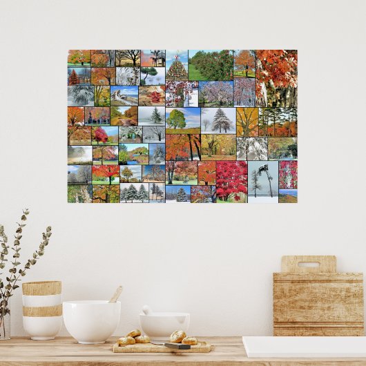 Poster voor de collage van bomen 36 x 24 (Keuken)