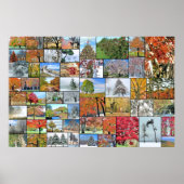 Poster voor de collage van bomen 36 x 24 (Voorkant)