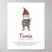 Poster voor de definitie van Tomte Gnome (Voorkant)