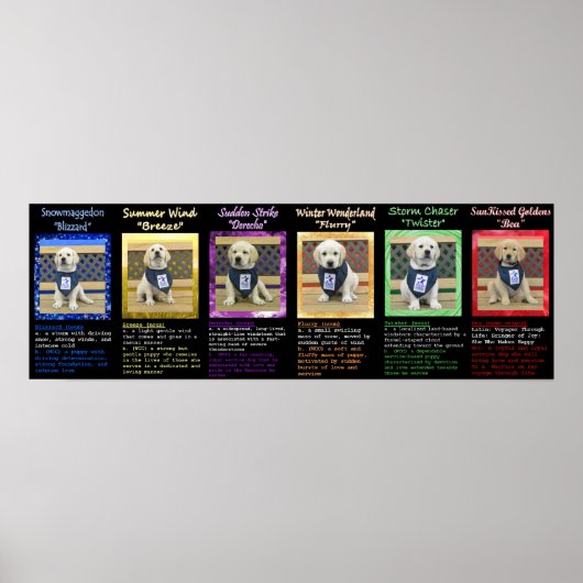 Poster voor de definities van weerstrooisel en bea (Voorkant)