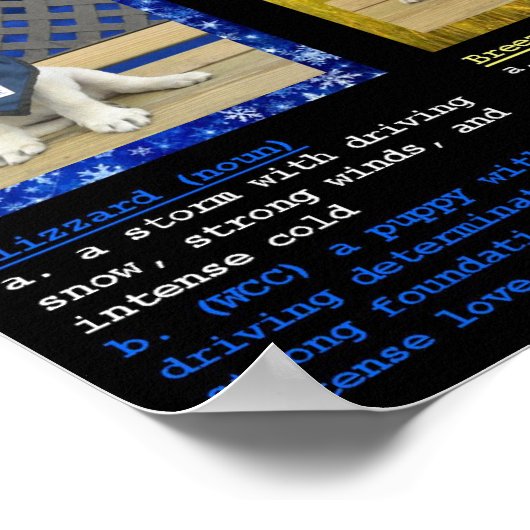 Poster voor de definities van weerstrooisel en bea (Hoek)