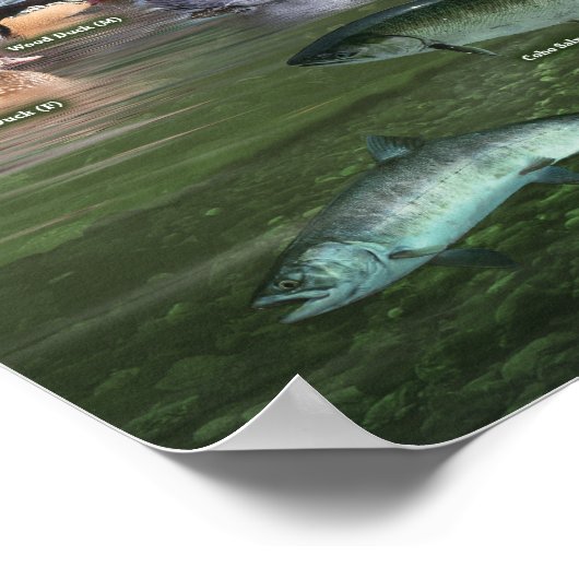 Poster voor de identificatie van kustgebieden (Hoek)