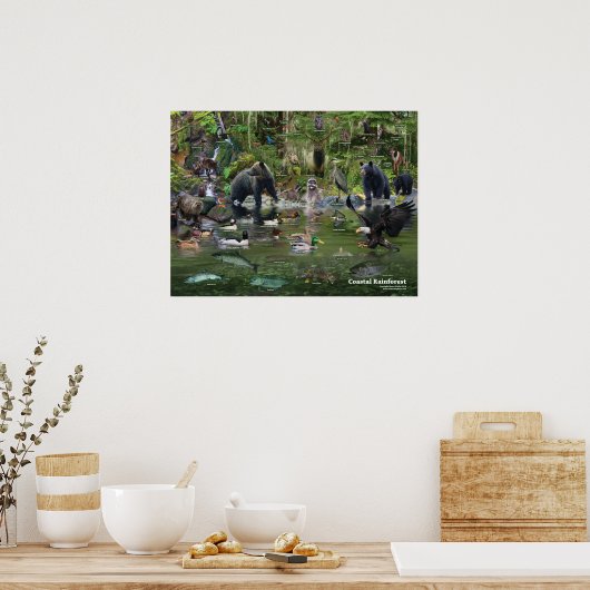 Poster voor de identificatie van kustgebieden (Keuken)