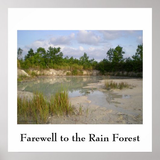 Poster voor de instandhouding van regenwouden (Voorkant)
