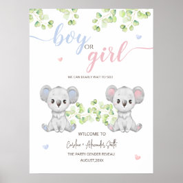 Poster voor de Koala Gender Reveal Party.