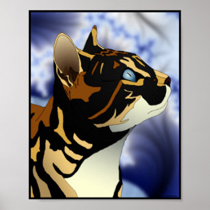 Poster voor de omvang van de calico Cat-portefeuil