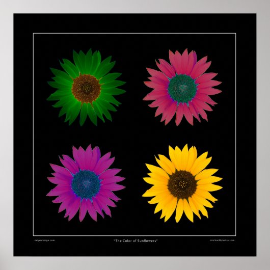 poster voor de ontwerper "The Color of Sunflower"  (Voorkant)