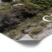 Poster voor de oprichting van Rocks Idaho Rock For (Hoek)