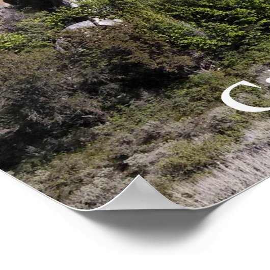 Poster voor de oprichting van Rocks Idaho Rock For (Hoek)