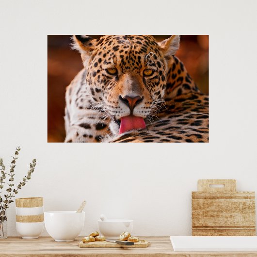 Poster voor de reiniging van luipaarden (Keuken)