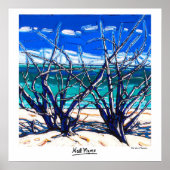 Poster voor de schildpadden van de Cat-eilanden (Voorkant)