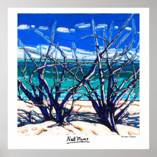 Poster voor de schildpadden van de Cat-eilanden