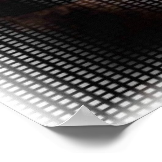 Poster voor de toezegging van het recht (Hoek)