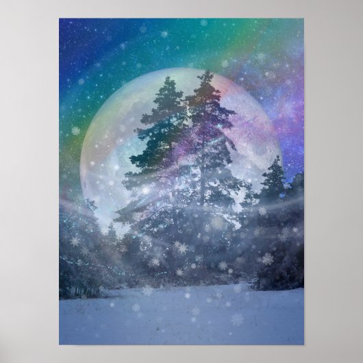 Poster voor de winterwind (Voorkant)