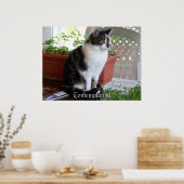 poster voor denkwijze bij katten (Keuken)