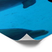 Poster voor dolfijn en oceaan "Nooit stoppen met n (Hoek)