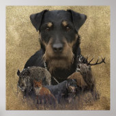 Poster voor duitse dwergkunst (Voorkant)