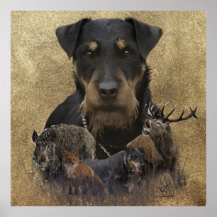 Poster voor duitse dwergkunst