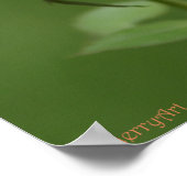 Poster voor elk Roos: ROOS & PROSE 20x16 (Hoek)