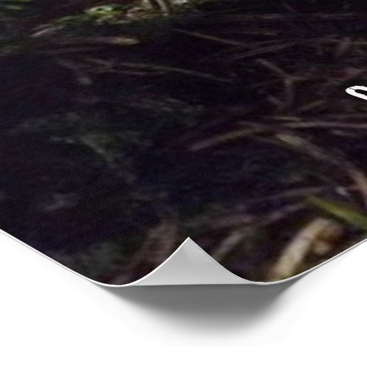 Poster voor fietsen (Hoek)