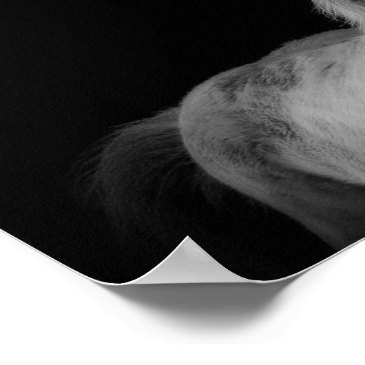 poster voor fijne kunstfotografie (Hoek)