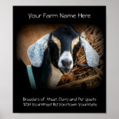 Poster voor geitenfokkerij (Voorkant)