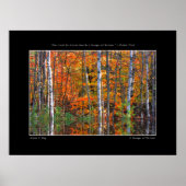 Poster voor gematigde vogels (Voorkant)