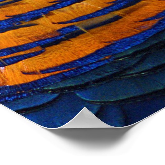 Poster voor goudkoorts (Hoek)