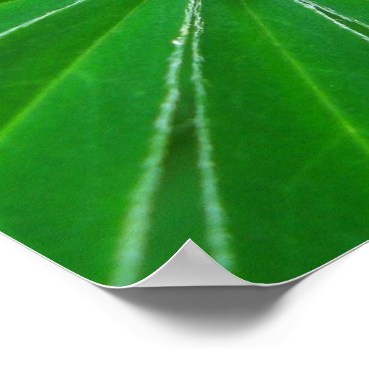 Poster voor groene energie - Afdruk (Hoek)