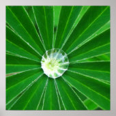 Poster voor groene energie - Afdruk (Voorkant)