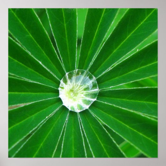 Poster voor groene energie - Afdruk (Voorkant)