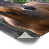 Poster voor Grondompelde paarden (Hoek)