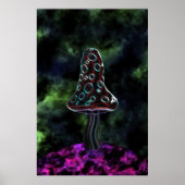 Poster voor grote driepuntspaddenstoel (Voorkant)