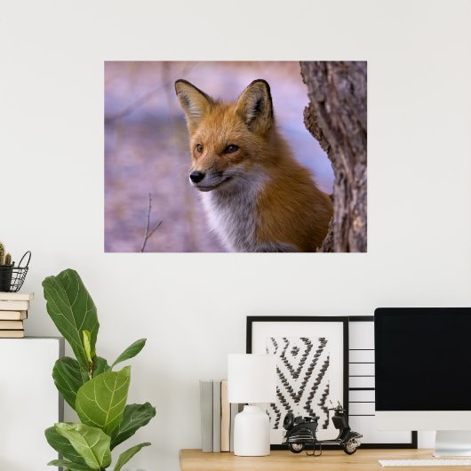 Poster voor grote vos (Thuiskantoor)