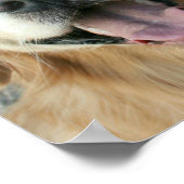 Poster voor het glimlachen van Golden Retriever (Hoek)